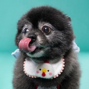 Meet your Posher, Fiona